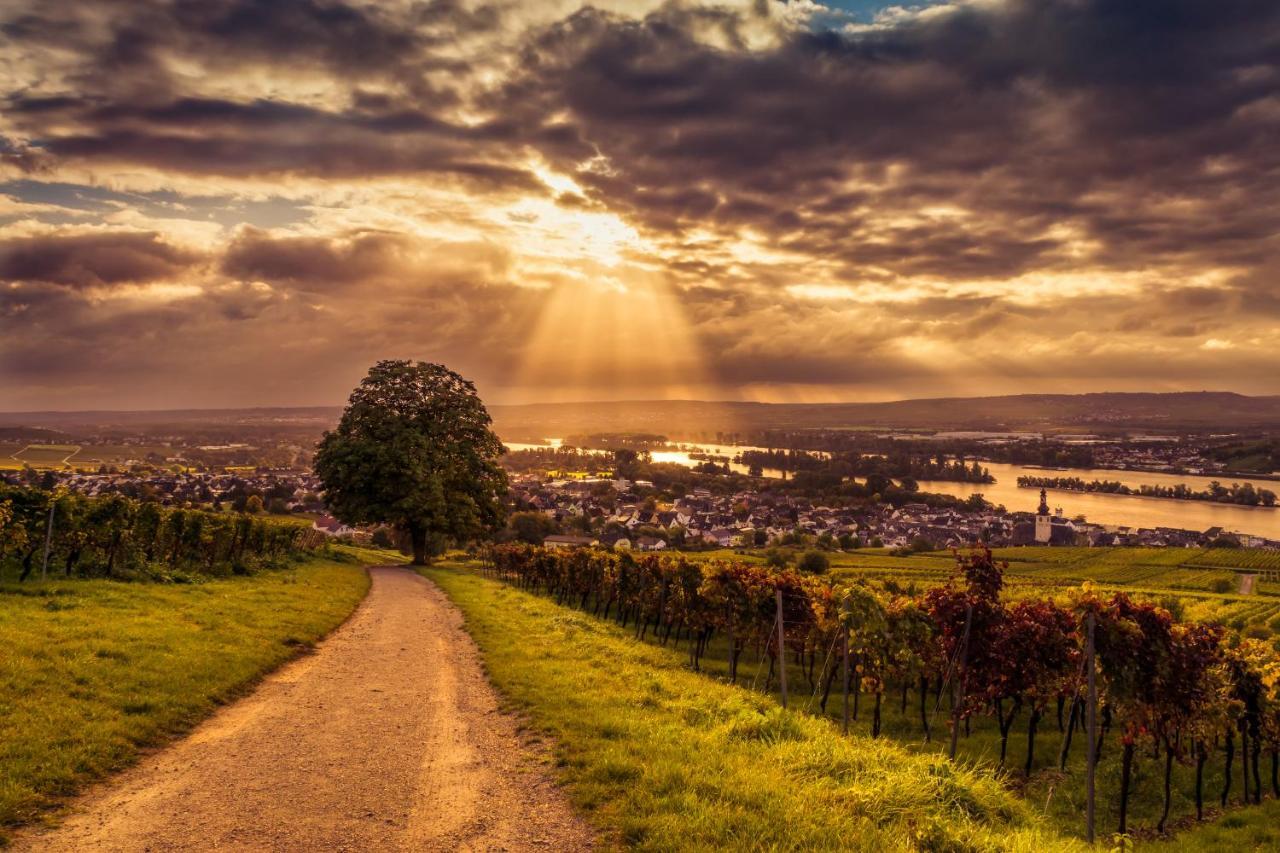 Ferienwohnung Reblaus Rüdesheim am Rhein Exteriör bild